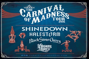 Carnival of Madness