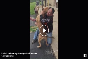 Stolen Dog Reunited with Owner