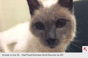 World’s Oldest Cat