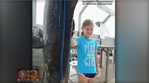 9-Year-Old Catches a Nearly 100 Pound Fish