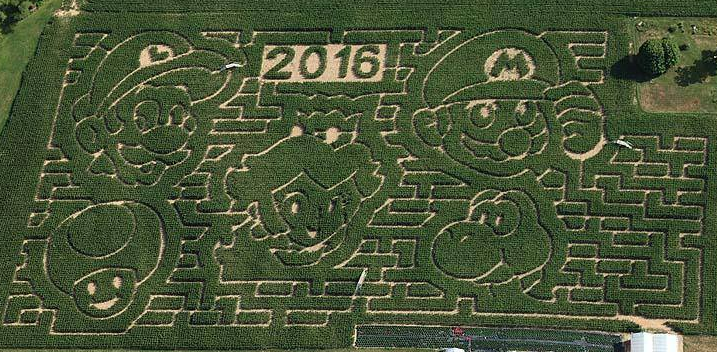 The Greatest Corn Maze EVER!