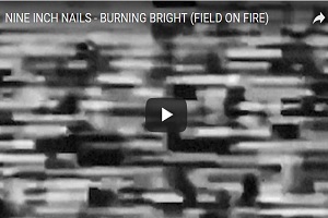 Nine Inch Nails Preview