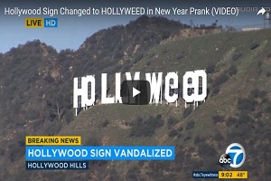 HollyWEED